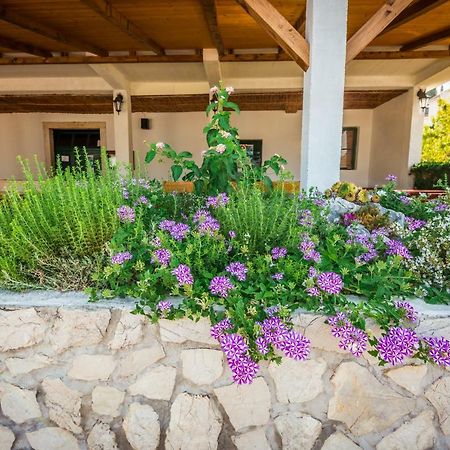 Apartments Galeb Блаце Екстериор снимка